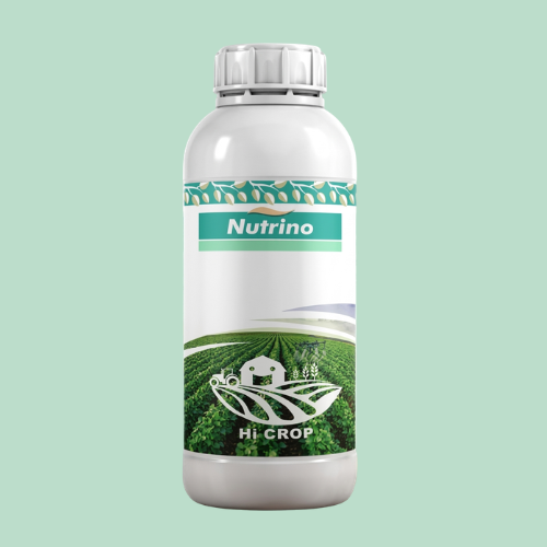 Nutrino