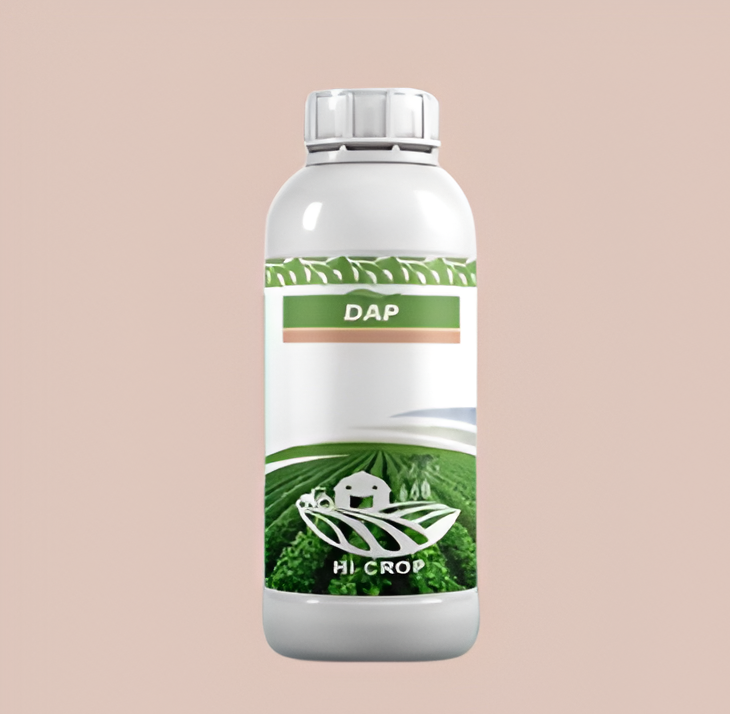 DAP